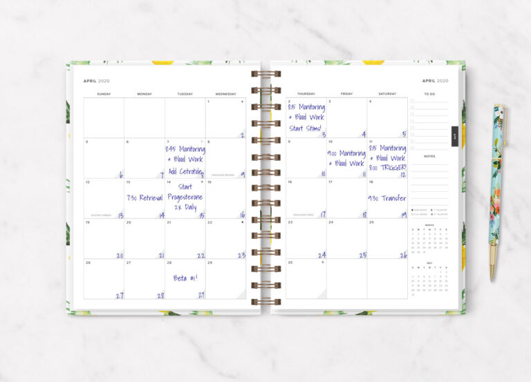 A spread in the Fertility in Focus planner