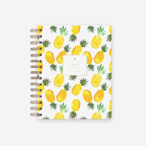 Fertility in Focus planner