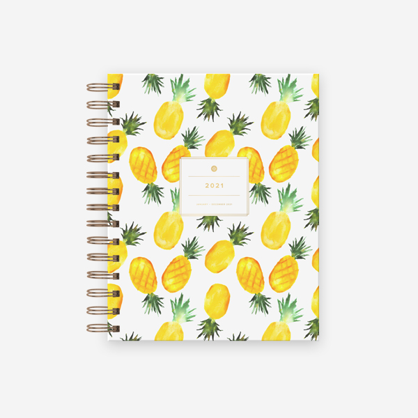 Fertility in Focus planner